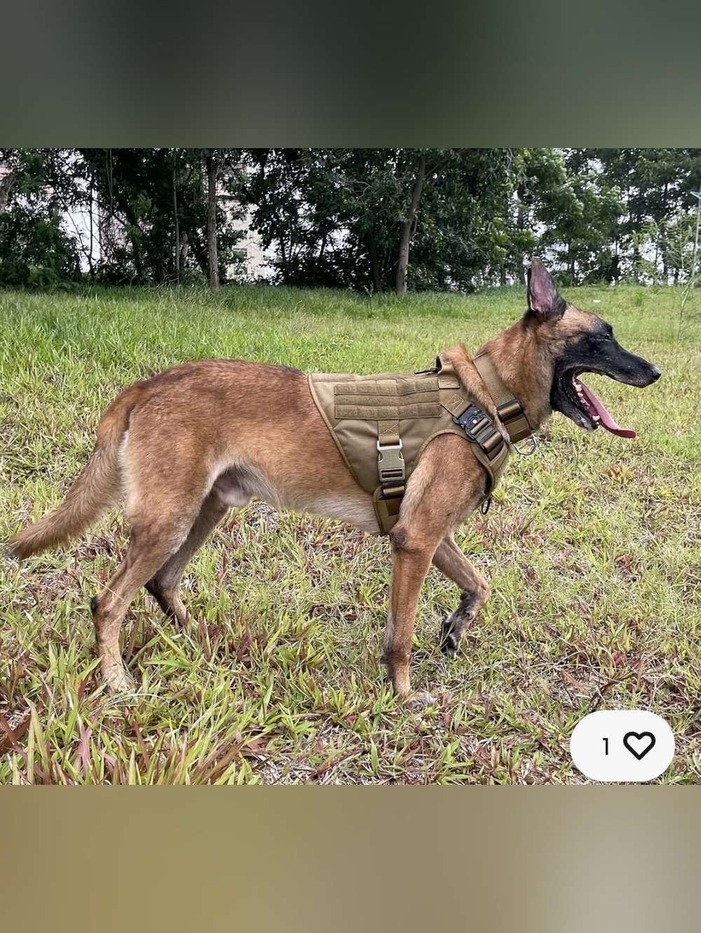 ICEFANG Tactical Dog Harness in Coyote Brown Size L See Size Chart / Flag Patch